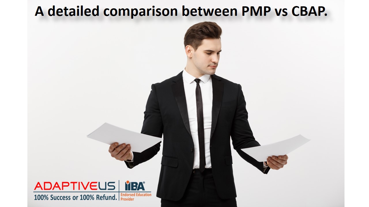 PMP vs CBAP in 2024 - A detailed comparison